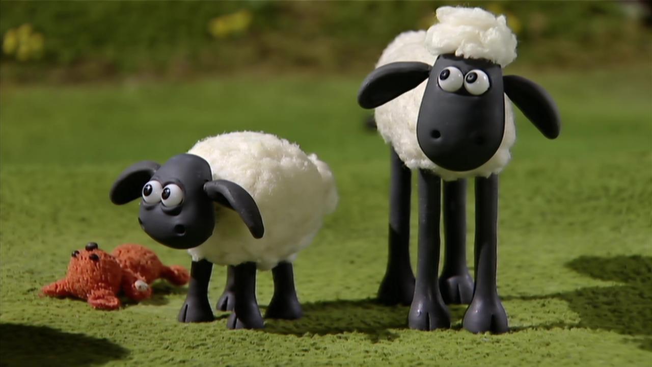 Ovecka Shaun