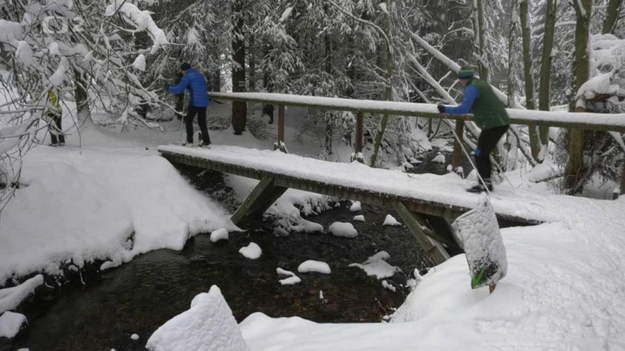 Bežkopotulky (Bežkopotulky: Krušné hory) / 21.12.2024, 08:30