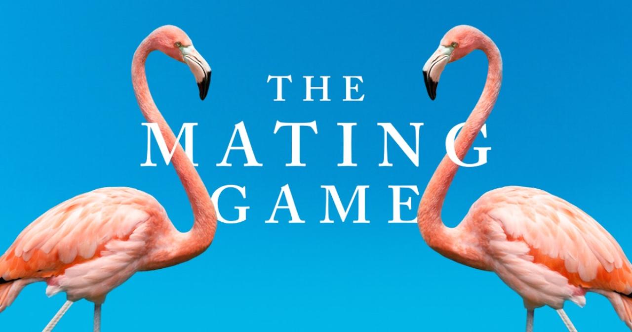 The Mating Game